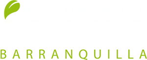 logo-ebano-baq